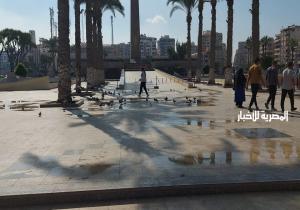 حمام السلام يرفرف في ساحة الشهداء وسط المئات من أهالي بورسعيد وزائريها
