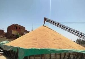 التموين: استلام القمح المحلى من المزارعين بجداول منظمة