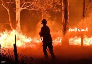 ارتفاع حصيلة قتلى حرائق الغابات في أستراليا