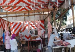 حملة بيطرية تُجري تفتيشًا على محال بيع اللحوم والطيور في وسط القاهرة