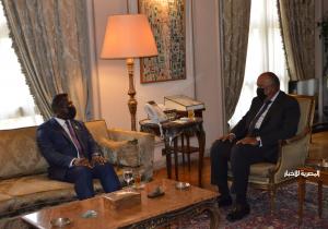 سامح شكرى يلتقى وزير خارجية سيراليون لعقد جلسة مباحثات