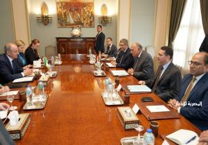 وزيرا خارجية مصر وأيرلندا يترأسان جلسة مباحثات موسعة.. والأزمة الإنسانية بغزة تتصدر المناقشات | صور