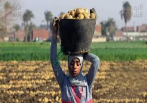 الزراعة: ارتفاع صادرات مصر الزراعية لـ أكثر من 4.6 مليون طن فى أخر 8 أشهر