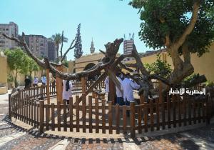 رئيس حي المطرية يتابع تطوير مزار "شجرة مريم" وشارع "المطراوي"