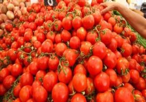 إسرائيل تمنع استيراد الطماطم التركية بسبب الجذع الأخضر