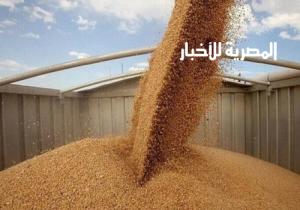 ارتفاع معدلات توريد القمح بعد قرار وزير التموين