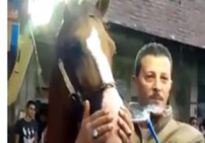 رجل يجبر حصانه على تدخين الحشيش بفرح شعبى يغضب رواد مواقع التواصل