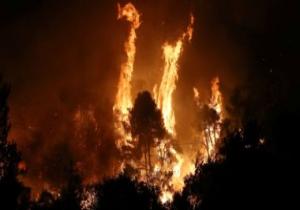 اندلاع حرائق هائلة بغابات جزيرة إيفيا فى اليونان