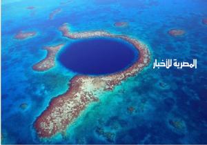 إسرائيل تشارك دولا عربية في مبادرة إنقاذ الشعب المرجانية في البحر الأحمر