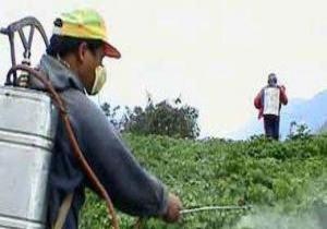 وزارة الزراعة: برنامج الاستخدام الآمن للمبيدات يوفر 50 ألف فرصة عمل