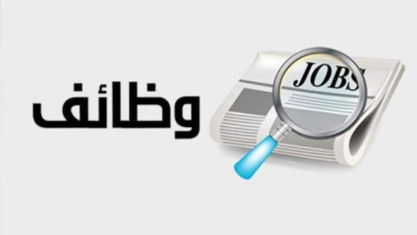 8230 فرصة عمل في الدقهلية