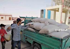 محافظ الوادي الجديد: توريد ٤٧ ألفا و ٢٧٩ طنا من محصول القمح حتى الآن