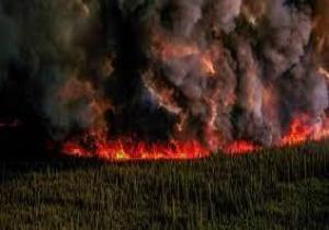 حرائق الغابات تجبر السلطات الكندية على إخلاء مدينة يلونايف من سكانها