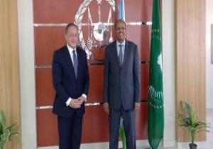 مساعد وزير الخارجية يجري زيارة لجيبوتي على رأس وفد من الوزارات والشركات المصرية