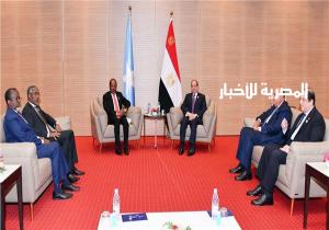 الرئيس السيسي: مصر تعتز بعلاقاتها التاريخية مع الصومال