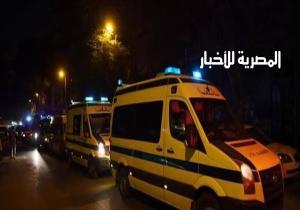 مقتل صاحب ورشة على يد عاطلان في عين حلوان