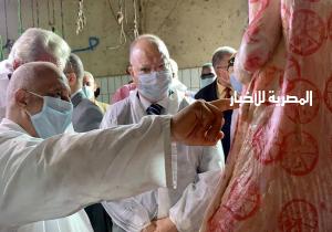 بيطري القاهرة: ذبح١٠٠ ألف رأس ماشية في مجازر القاهرة خلال أسبوعين