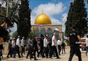 مئات المُستوطنين الإسرائيليين يقتحمون "الأقصى" في ذكرى احتلال فلسطين