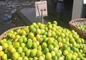 البرلمان المصري يرسل بيانا عاجلا للحكومة حول ارتفاع أسعار الليمون في البلاد