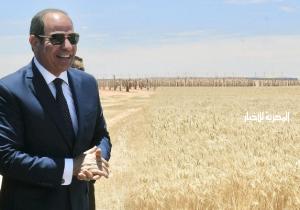 المتحدث الرئاسي ينشر فيديو لاستعراض جهود الدولة لتعمير توشكى والآليات التي انتهجتها لتخطي التحديات والعقبات