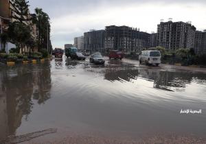 تجدد هطول أمطار «الشمس الصغيرة» على الإسكندرية |صور