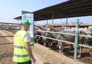 تضامن كفرالشيخ تطلق حملة للمشاركة في صك الأضحية دعما للأسر الأولى بالرعاية