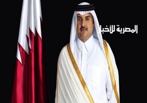 ضاحي خلفان مهددًا تميم: سلم الحكم أو التظاهرات تملأ قطر الجمعة