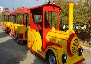 انطلاق خدمة الطفطف فى شوارع السيدة زينب.. تعرف على خط السير