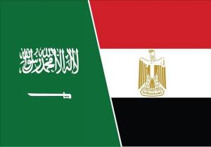 السفير المصري بالسعودية: الربط الكهربائي بين القاهرة والرياض مشروع طموح / فيديو