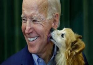 الرئيس الأمريكى جو بايدن يرحب بكلبه الجديد "كوماندر" فى البيت الأبيض