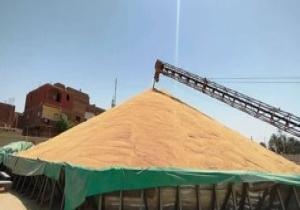 الإحصاء: تراجع واردات مصر من القمح لـ2 مليار و709 ملايين جنيه أغسطس الماضى