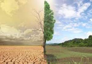 التوازن البيئي بدأ يختل.. اشتعال معركة البقاء بين الإنسان والحيوان بسبب تغيرات المناخ
