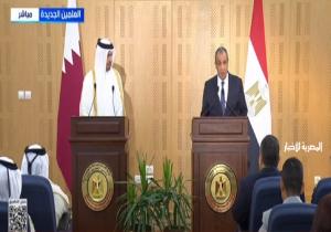 وزير الخارجية: تهجير الفلسطينيين من أراضيهم «خط أحمر» لن نقبل به