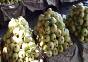الزراعة تقدم حزمة إجراءات للمحصول لزيادة الإنتاج محصول الجوافة.. تعرف عليها