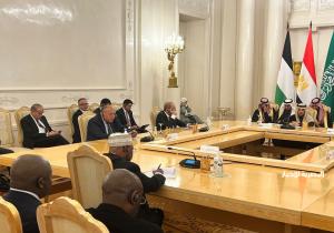 الخارجية تعلن تفاصيل اجتماع «اللجنة الوزارية العربية - الإسلامية» في موسكو لوقف الحرب على غزة | صور