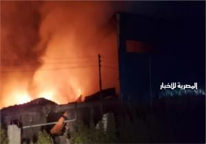 السيطرة على حريق نشب في مصنع للجبن الرومي بكفر الشيخ