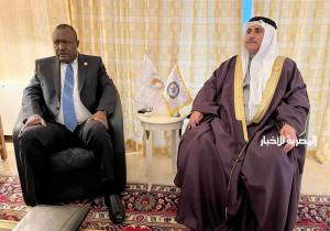 رئيسا البرلمانين العربي وإفريقيا يبحثان مجالات التعاون في المحافل الدولية