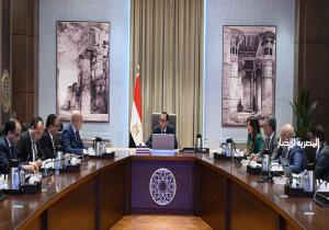 رئيس الوزراء يلتقي مسئولي شركة «هاير مصر».. وبدء المرحلة الثانية من المُجمع الصناعي في يونيو المُقبل