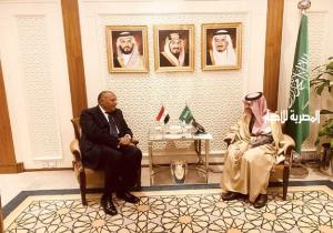 وزيرا خارجية مصر والسعودية يُؤكدان ضرورة بذل كافة الجهود للحفاظ على استقرار وسلامة دولة السودان