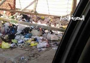 الجهاز التنفيذي بالإسماعيلية «يخادع» الرئيس السيسي قبل زيارته المدينة غدا