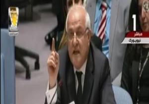 مندوب فلسطين: 110 شهداء و12 ألف جريح بمسيرات العودة ومجلس الأمن مشلول