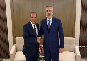 وزير الخارجية يؤكد لنظيره التركي ضرورة عدم السماح بإيواء عناصر إرهابية على الأراضي السورية