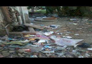 تكدس القمامة بالمساكن الشعبية بالمنزلة دقهلية