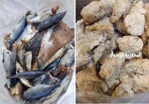 ضبط 1500سرنجة و 900 جهاز محلول مجهول المصدر بأحد محلات المستلزمات الطبية وتحرير ٢٤ محضراً متنوع خلال حملة مكبرة بدمنهور