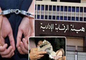 الرقابة الإدارية تسقط 22 متهما بتسهيل الهجرة غير الشرعية لدول أوروبية