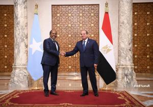 الرئيس السيسي ونظيره الصومالي يبحثان تعزيز العلاقات الثنائية والأوضاع الإقليمية والقارية