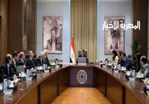 في أول لقاء منفرد مع اللجان الاستشارية المتخصصة: رئيس الوزراء يلتقي أعضاء لجنة الشئون السياسية