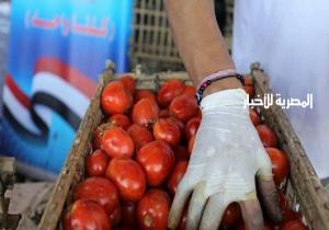 "الزراعة المصرية": لا صحة لما تم تداوله من أن الطماطم مسرطنة