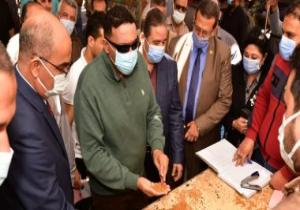 محافظ الدقهلية: زراعة 242 ألفا و300 فدان قمح هذا العام