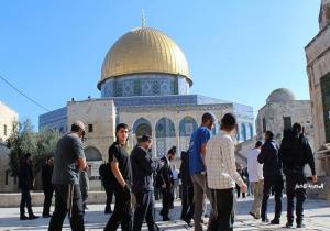 مئات المستوطنين يقتحمون باحات المسجد الأقصى تحت حماية شرطة الاحتلال
